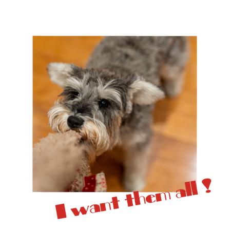 20e5a7c5 143c 40c6 8e1e acecacf03a5a s