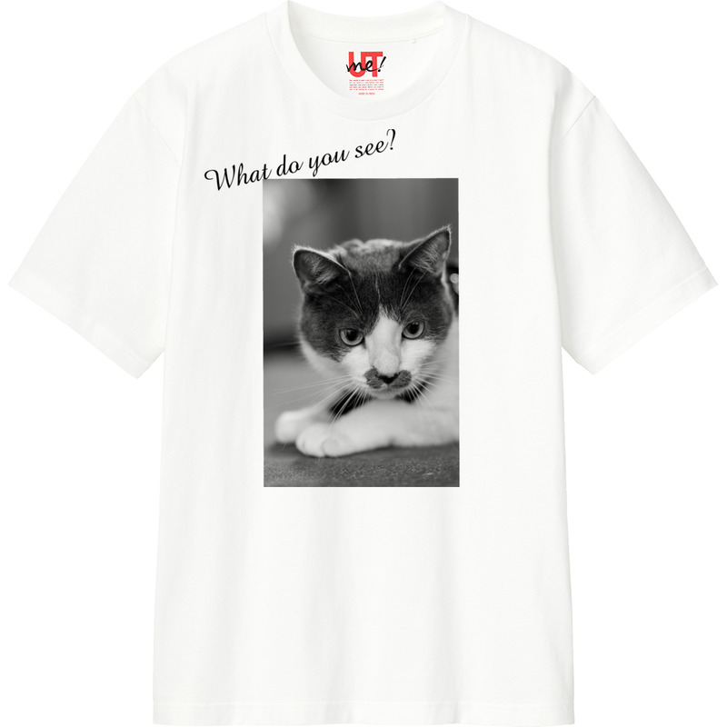 06b4ed6b 2446 4f58 a0fd ce83dcb386ef 110 print ll