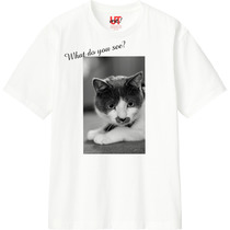 06b4ed6b 2446 4f58 a0fd ce83dcb386ef 110 print s