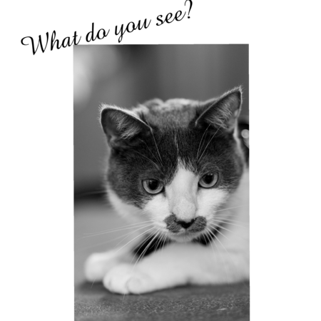 06b4ed6b 2446 4f58 a0fd ce83dcb386ef s