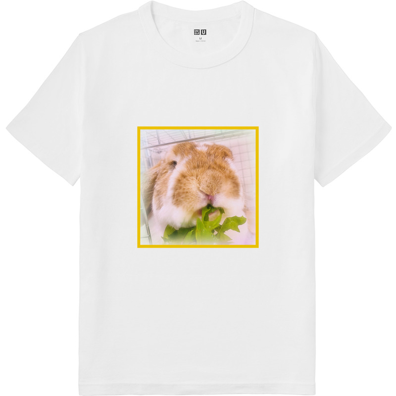 12e4d0ef f763 4429 b16a a4cf7e68214a 64 print ll