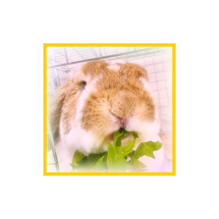 12e4d0ef f763 4429 b16a a4cf7e68214a s