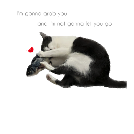 4dd6d740 e6cc 4e00 b560 18d8dbeec6fc s