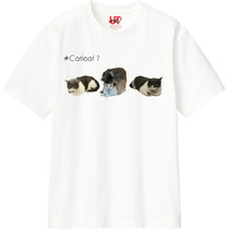 2c45dcdf 7c2c 484e b594 c2a5811990b6 110 print s