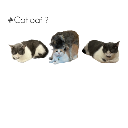 2c45dcdf 7c2c 484e b594 c2a5811990b6 s