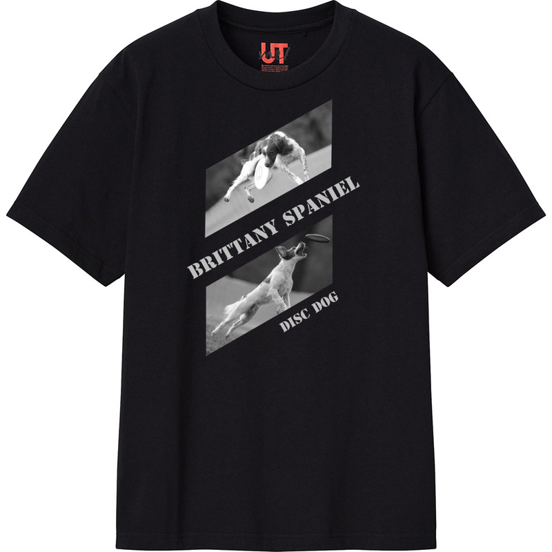 Ee4839cb 8ace 4949 af1d 76bd4140761b 111 print ll