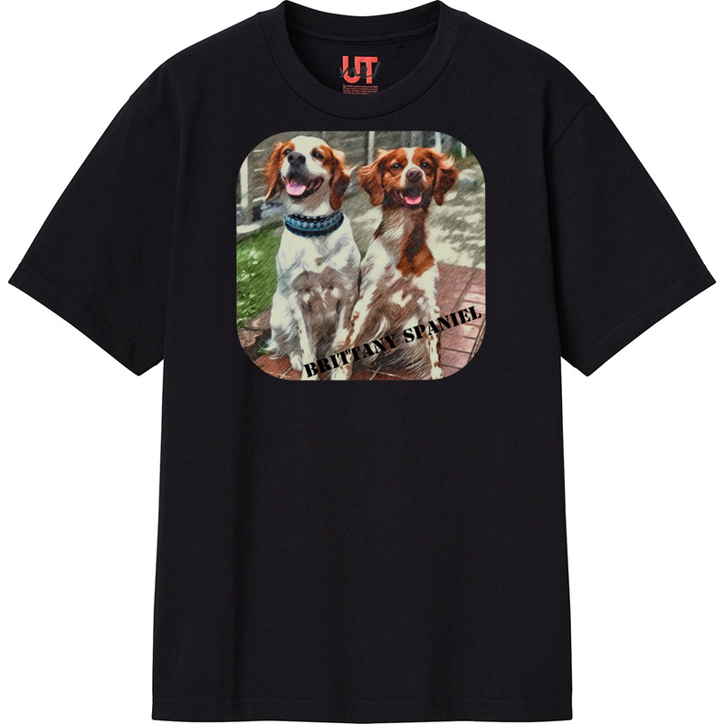 35076a92 1d35 4edb 9a63 6e49bae54c37 111 print ll