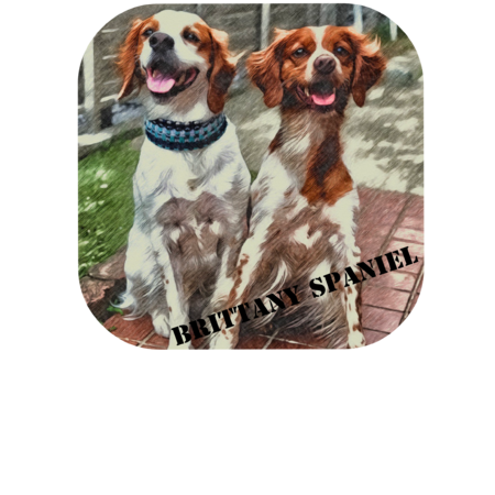 35076a92 1d35 4edb 9a63 6e49bae54c37 s