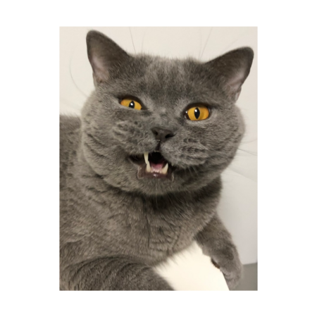 B6830d0a 06b2 47fc 8eea d307f256c060 s