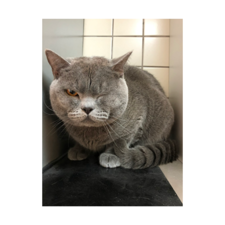 94d4bf14 b2a7 48aa 8d7c e3d6106f9a03 s