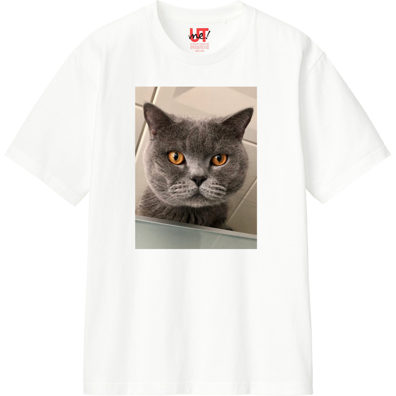 F4a9602e bad6 4321 9e86 8cfcb062b4a1 110 print ll