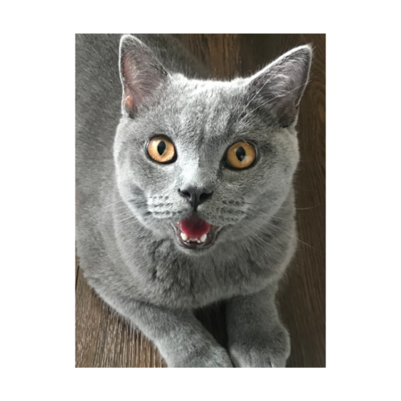 95174003 bd57 437e b57c 5bef3d7c50b8 s