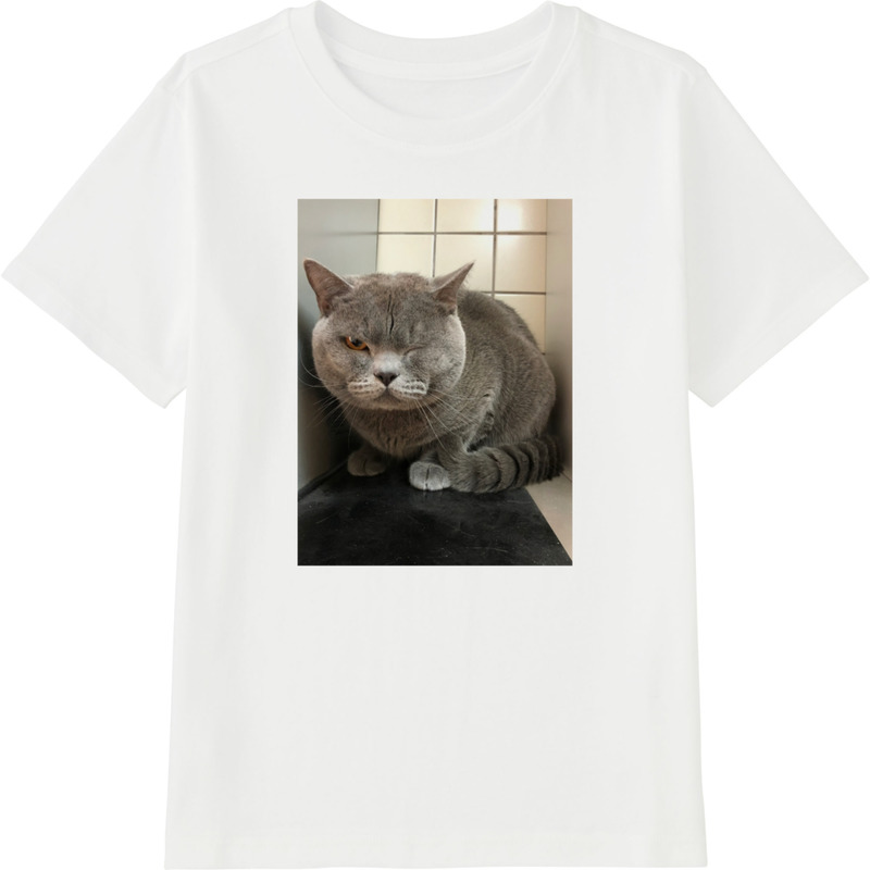 E6fc027e be61 4d0d 93dd d6a5cc6757de 45 print ll