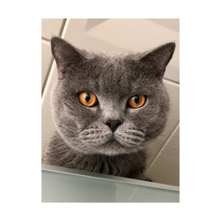 B866ba71 5a57 4a36 abd3 3f8b850a381a s