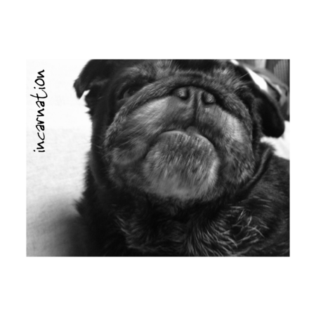 58adca94 6bc7 4a29 a8b5 a06436791b0e s