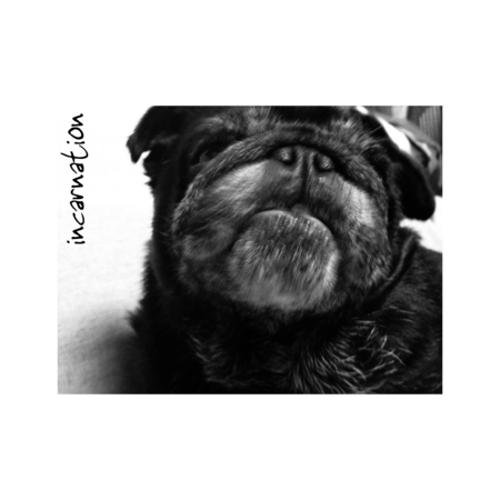 B4aec851 7669 4d0f b124 36abf748f0b2 s