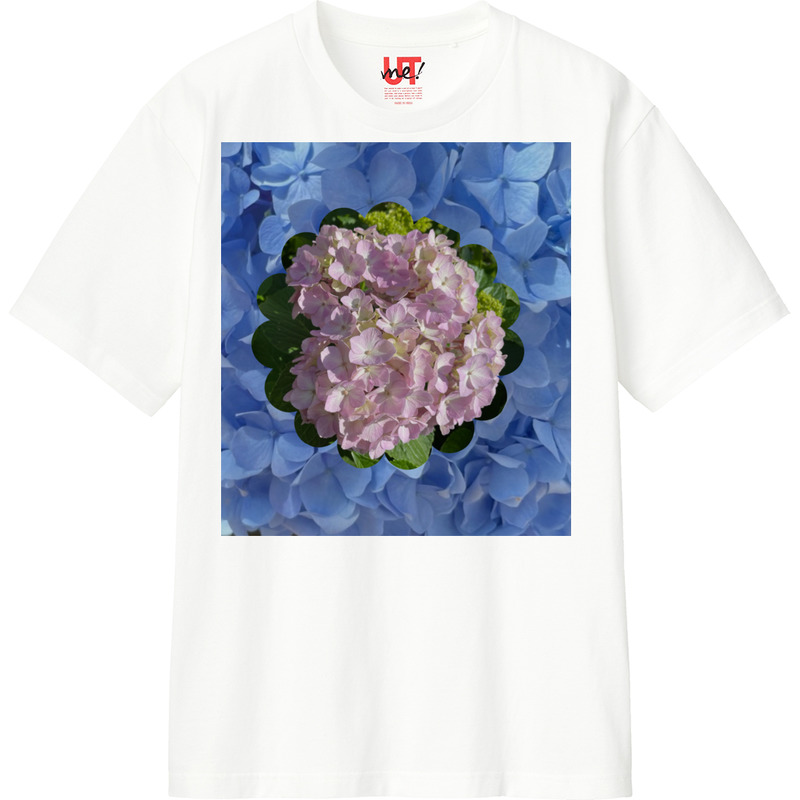 6c774c6d 778a 442b 8cba 45d0fc7ff9a5 110 print ll