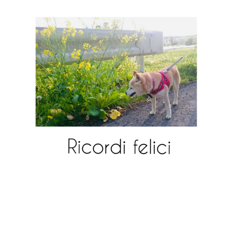 9e1b8535 f1b0 48b6 a608 610bd9980a15 s