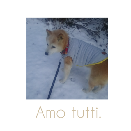 91d609e6 0384 4afe 85c6 c012c9ca169a s