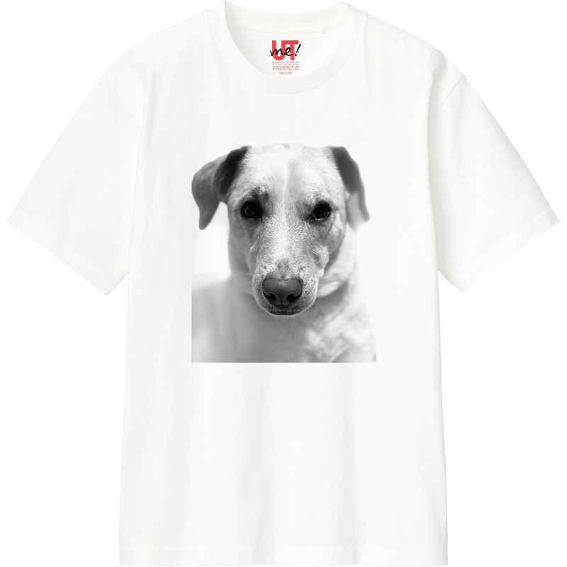 E4625cf2 d6a0 468c 8a5b 2fdf4646290e 110 print ll