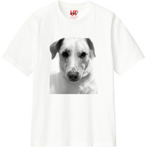 E4625cf2 d6a0 468c 8a5b 2fdf4646290e 110 print s