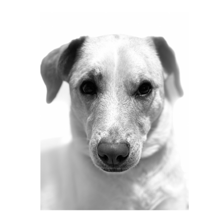 E4625cf2 d6a0 468c 8a5b 2fdf4646290e s