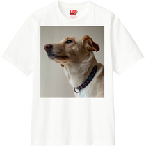 C45a1d36 f93c 40ac 9877 13251e9bee36 110 print s