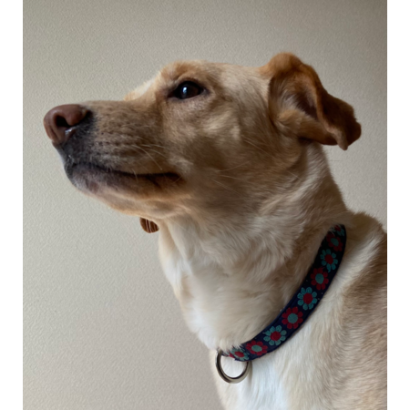 C45a1d36 f93c 40ac 9877 13251e9bee36 s