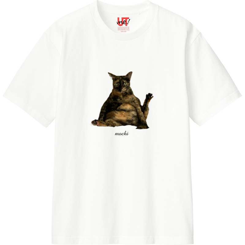 5c1c85f3 3f33 4a68 89df eebb056cd993 110 print ll