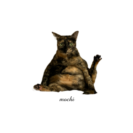 5c1c85f3 3f33 4a68 89df eebb056cd993 s