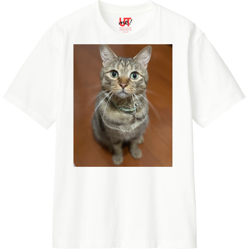 D55471fe 78da 462a a187 cac5ae3bde17 110 print ll