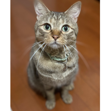 D55471fe 78da 462a a187 cac5ae3bde17 s