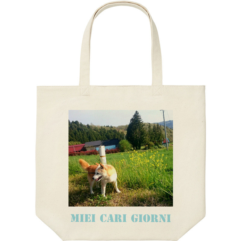 B0500513 f840 459c ab80 488b2a35b5c9 9 print ll