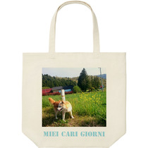 B0500513 f840 459c ab80 488b2a35b5c9 9 print s