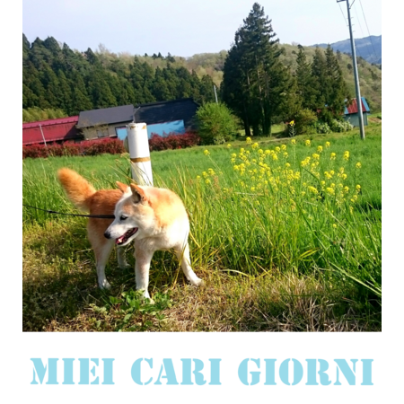 B0500513 f840 459c ab80 488b2a35b5c9 s