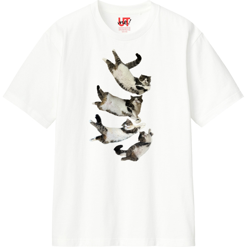 C813e433 7d8b 48bd b065 376fd728b2ad 110 print ll