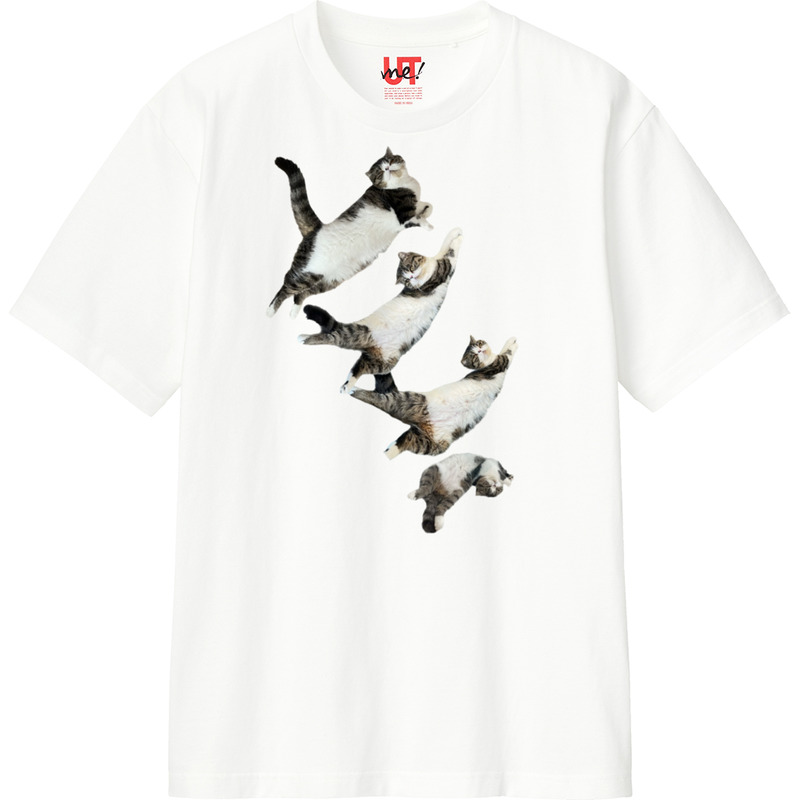 E2f53438 32f3 4df3 9331 18ea353ddef4 110 print ll