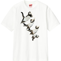 E2f53438 32f3 4df3 9331 18ea353ddef4 110 print s