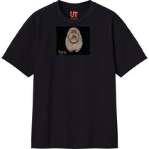 4127a54d 6677 4c6c bad8 71667dbab4d9 111 print s