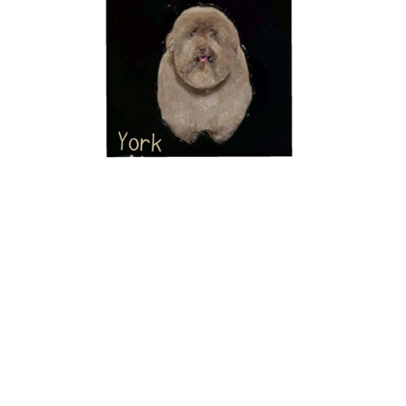 4127a54d 6677 4c6c bad8 71667dbab4d9 s