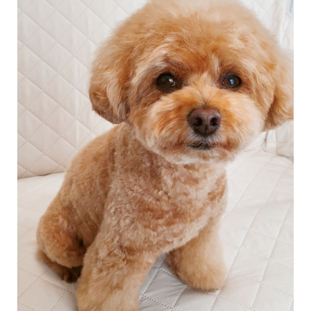 Aa30d8ff 9bbd 4a5b 8224 1a27ef3aeb64 s