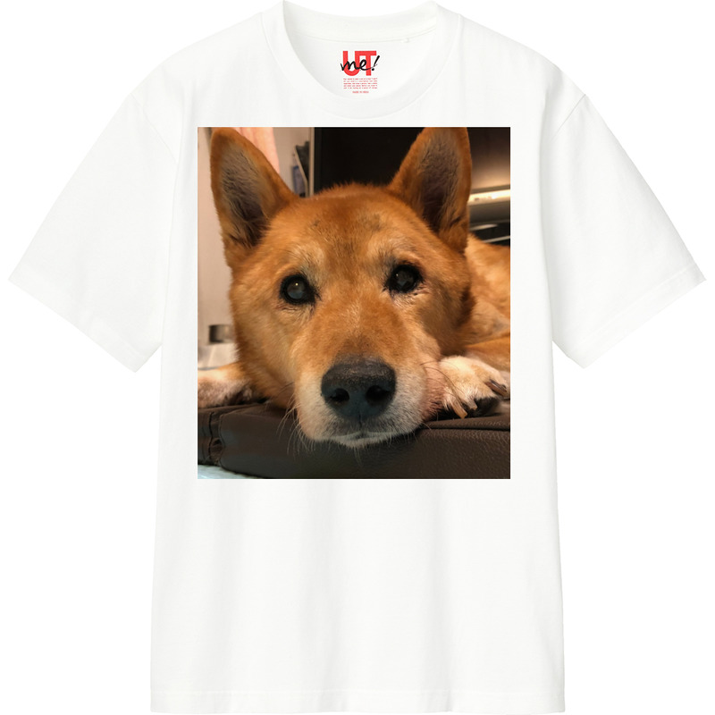 434c3c0c 68dd 4d90 b967 480abdcd7956 110 print ll