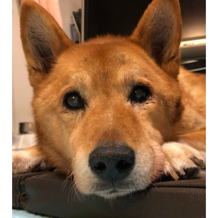 434c3c0c 68dd 4d90 b967 480abdcd7956 s