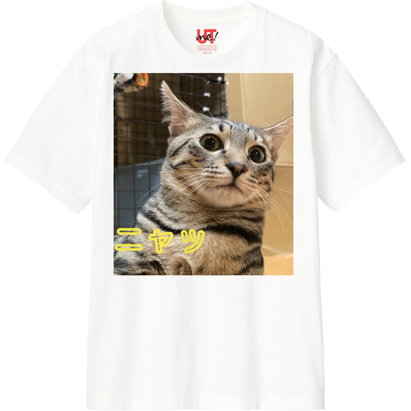 547e2332 d548 4bb3 aae7 dc60221733d2 110 print ll