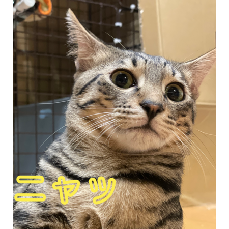 547e2332 d548 4bb3 aae7 dc60221733d2 s