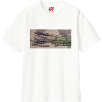 1b1fb203 c34f 4306 88c5 af1812963382 110 print s