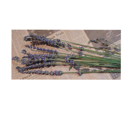 1b1fb203 c34f 4306 88c5 af1812963382 s