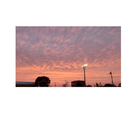 B5a8a5ca 2bbe 44b1 8f20 7c5a06486394 s