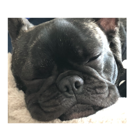 Dbc97634 cdcb 46c3 88b0 8a0690935040 s