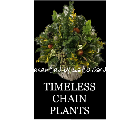 F61408a8 fd05 4b87 a676 d0f3323d92df s